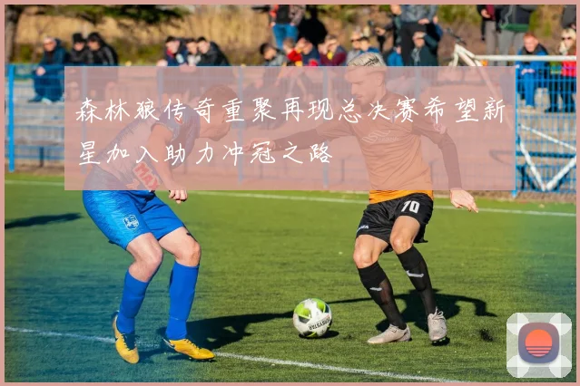 森林狼传奇重聚再现总决赛希望新星加入助力冲冠之路
