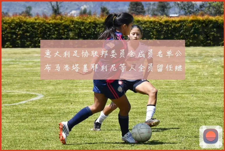 意大利足协联邦委员会成员名单公布马洛塔基耶利尼等人全员留任继续服务